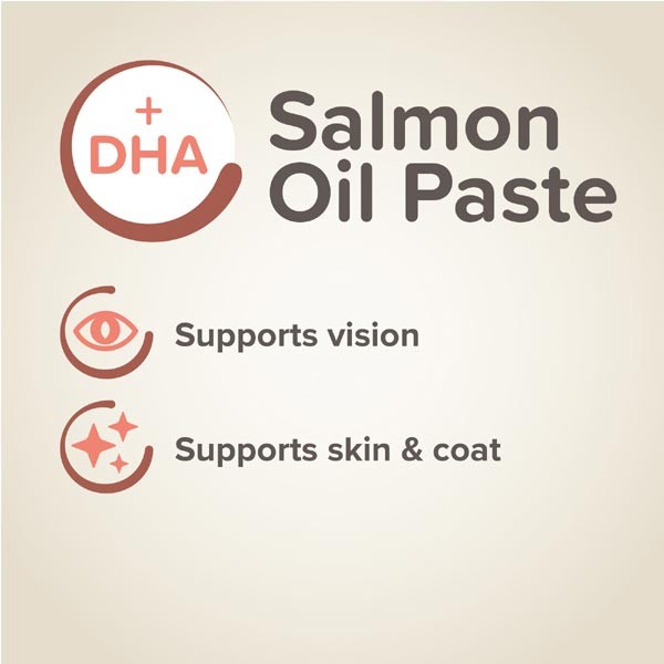 Beaphar Salmon Oil Paste for Dogs 100g