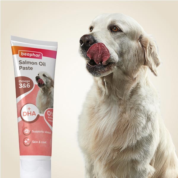 Beaphar Salmon Oil Paste for Dogs 100g