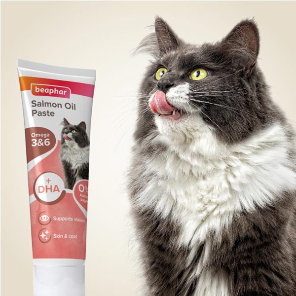 Beaphar Salmon Oil Paste for Cats 100g