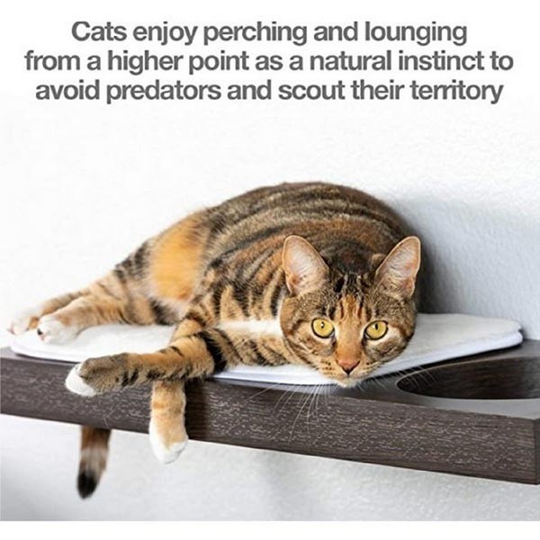 PetFusion Cat Wall Activity Shelves