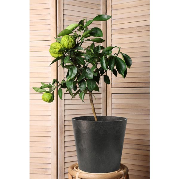 Tierra Verde Octavia Slate Grey Eco Planter 28cm