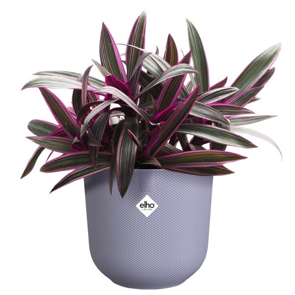 Elho Jazz Round Lavender Lilac 16cm Flower Pot