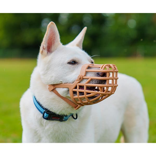 Company of Animals Baskerville Classic Basket Muzzle Size 10 (Great Dane)