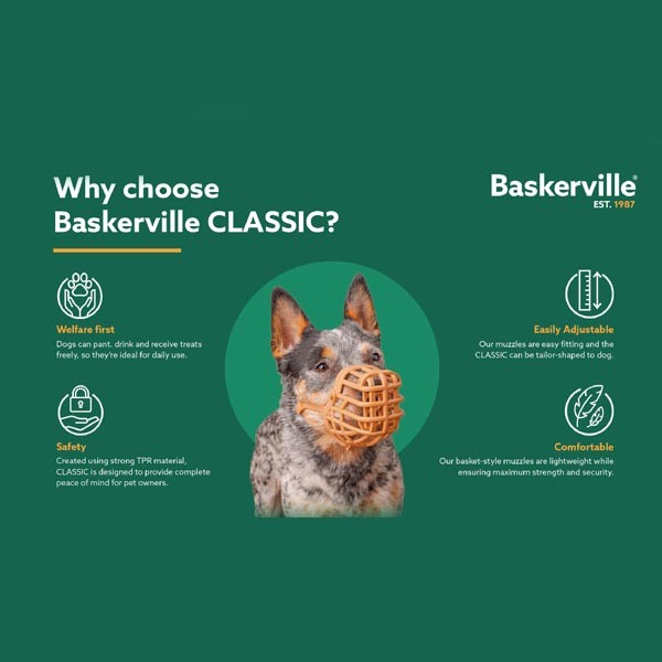 Company of Animals Baskerville Classic Basket Muzzle Size 10 (Great Dane)