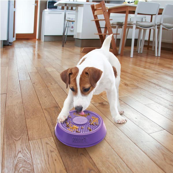 Kong Licks Cat and Dog Treat Dispenser