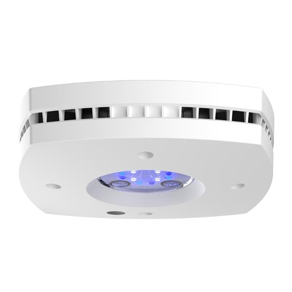 AI Prime 16HD Reef Lighting White