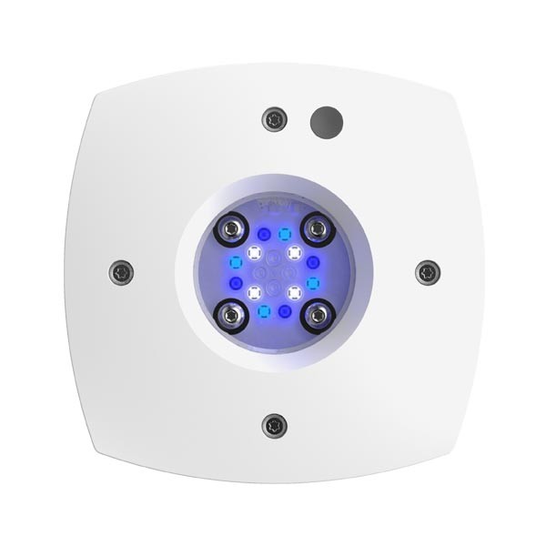 AI Prime 16HD Reef Lighting White