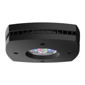 AI Prime Freshwater Lighting Black