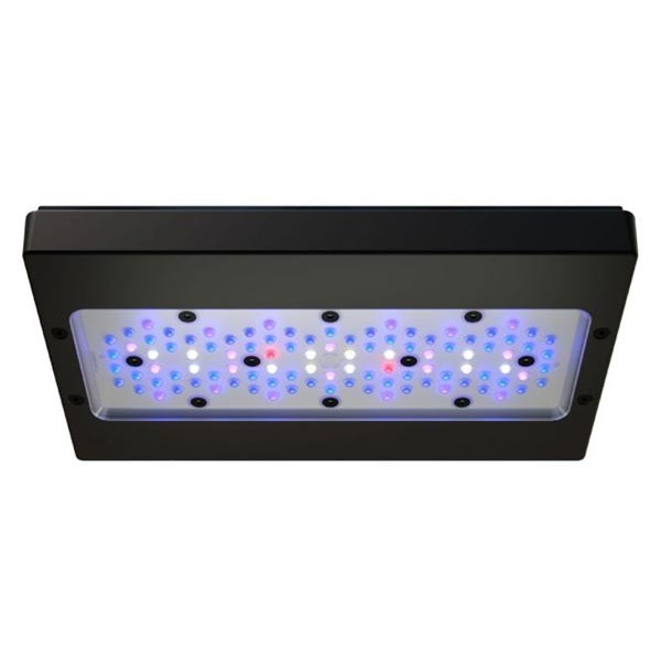 EcoTech Radion XR30 G6 Blue LED Lighting