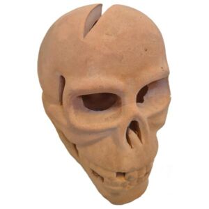 Towton Skull (Terracotta) 26x23cm