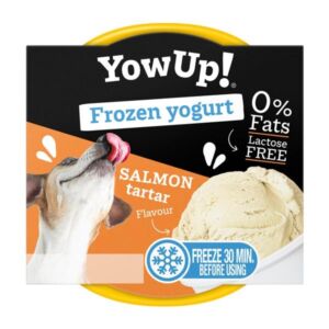 YowUp! Frozen Yoghurt Ice Cream for Pets Salmon Tartar 110g