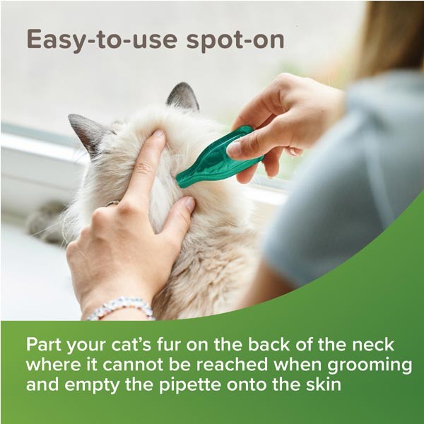 Beaphar VETOpure Plant-Based Protection Flea Spot-On for Cats 3 Pipettes