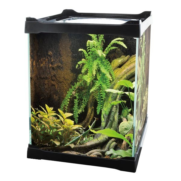 Betta Terra Mini Terrarium Black 16x16x30cm