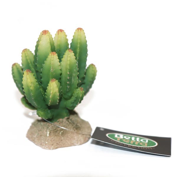 Betta Terra Small Green Cactus Plant Ornament 8cm