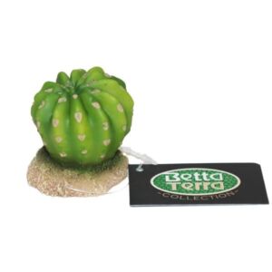 Betta Terra Round Green Succulent Plant Ornament 4.5cm