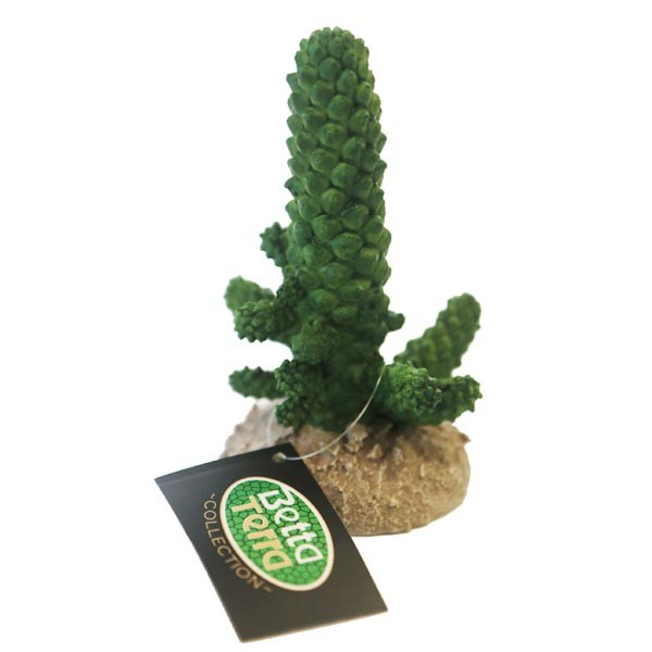 Betta Terra Peanut Cactus Plant Ornament 11cm