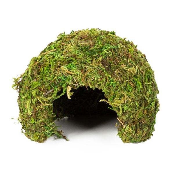 Repti Zoo Natural Moss Dome Small