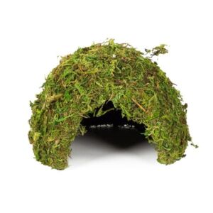 Repti Zoo Natural Moss Dome Medium