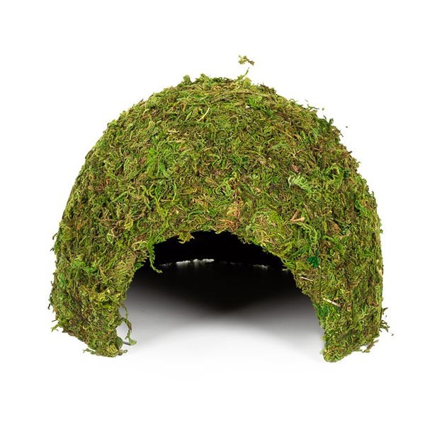 Repti Zoo Natural Moss Dome Large