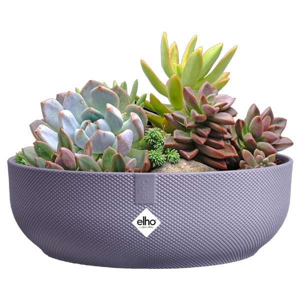 Elho Jazz Bowl Lavender Lilac 28cm Flower Pot