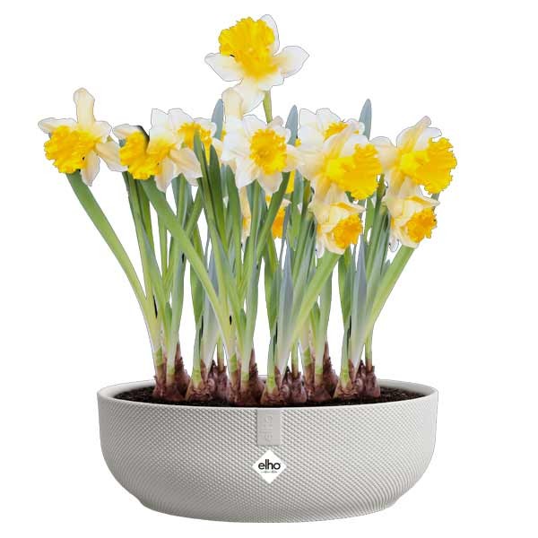 Elho Jazz Bowl Silky White 28cm Flower Pot