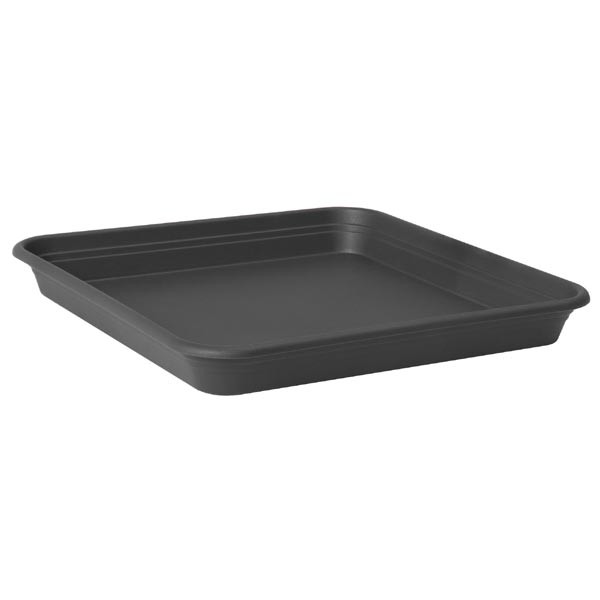 Florus Universal Saucer Quadro Anthracite 31cm