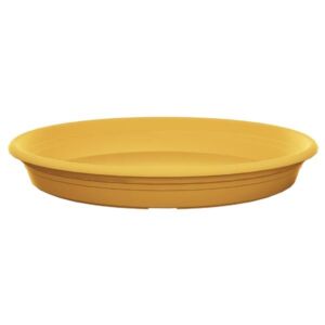 Florus Universal Saucer Round Mustard Yellow 35cm