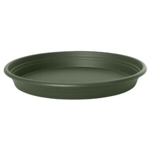 Florus Universal Saucer Round Green 44cm