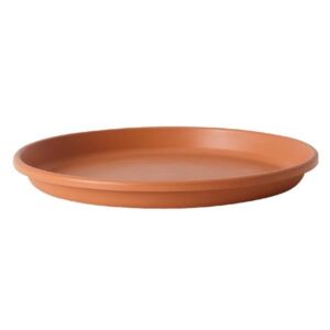 Florus Universal Saucer Round Terra 44cm