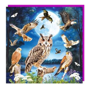 3D Lenticular Card "Birds of Prey"