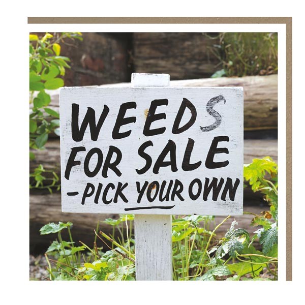 The Botanical Collection "Weeds for Sale" Card