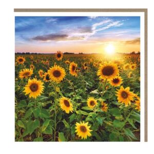 The Botanical Collection "Sunflowers" Card