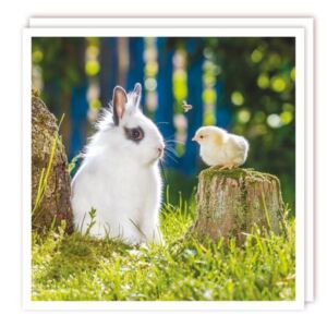 The Wildlife Collection "Rabbit & Chick" Card