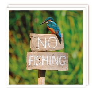 The Wildlife Collection "Naughty Kingfisher" Card