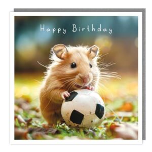 The Light Hearted Collection "Football playing hamster" Card