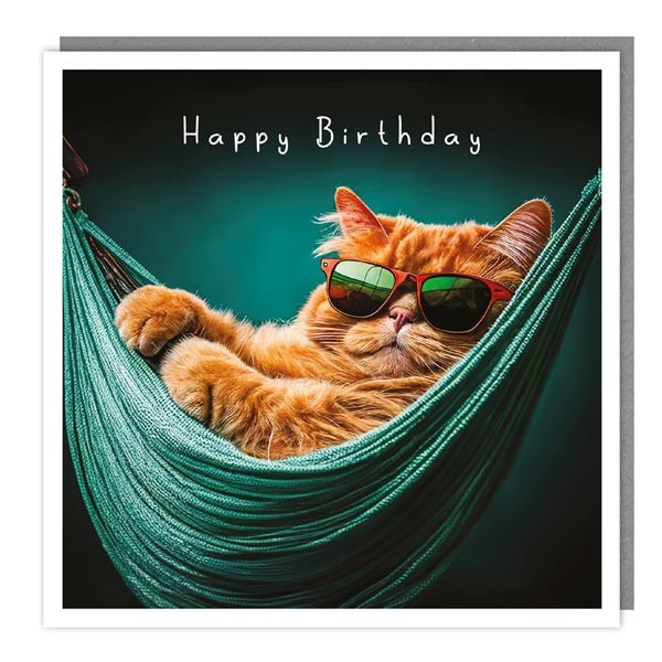 The Light Hearted Collection "Cat Hammock" Card