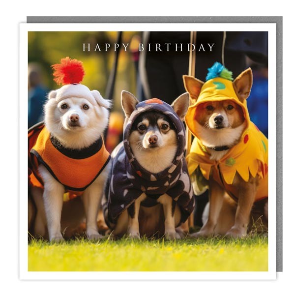 The Light Hearted Collection "Three Dressed Hounds" Card