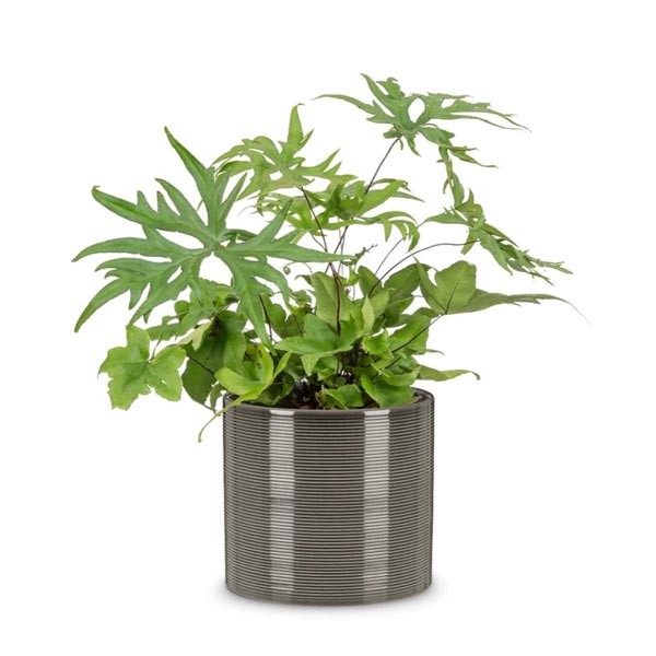 Scheurich Flower Pot 828 Glass Grey 12cm