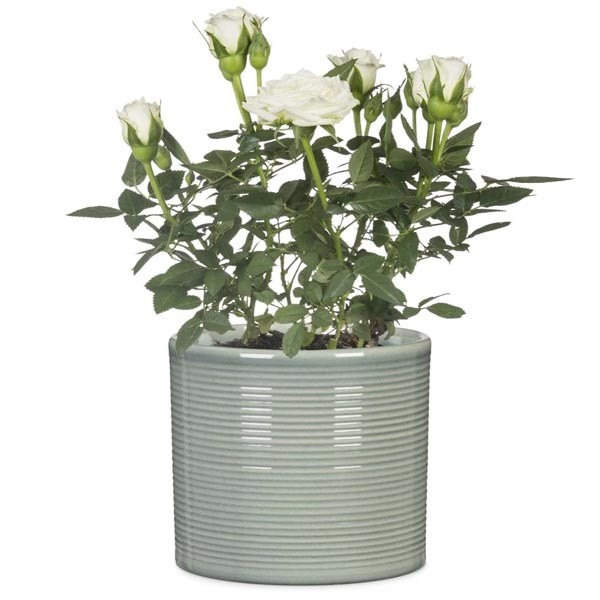 Scheurich Flower Pot 828 Sage Green 12cm