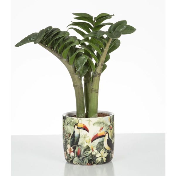 Scheurich Solido Flower Pot 900 Tucano 13cm