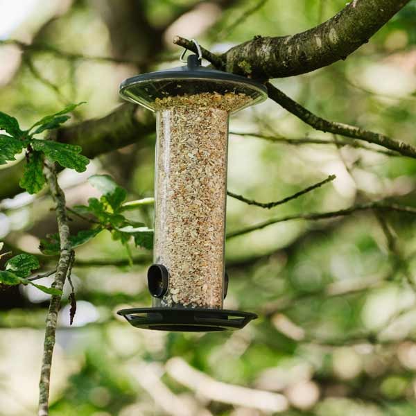 Peckish Funnel Seed Feeder