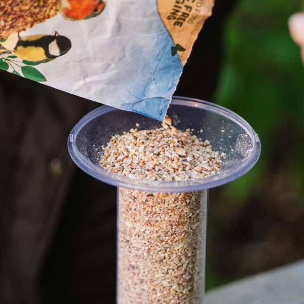 Peckish Funnel Seed Feeder