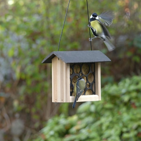 Peckish Woodland Woodland Feast Suet Cake Feeder