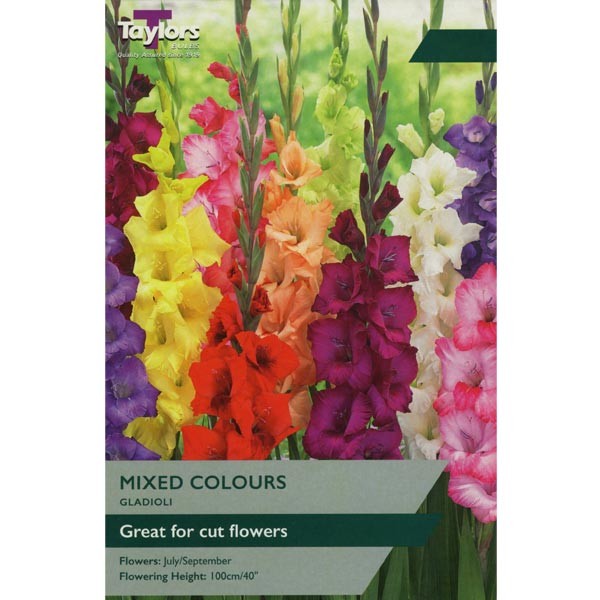 Taylors Bulbs Gladioli Mixed Colours 10 Pack - NL