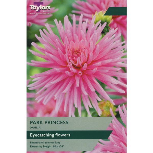 Taylors Bulbs Dahlia Park Princess Single - NL