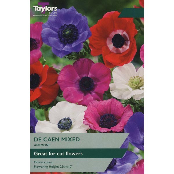 Taylors Bulbs Anemone De Caen Mixed 15 Pack - NL