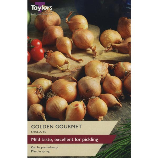 Taylors Bulbs Shallot Golden Gourmet 12 Pack - NL