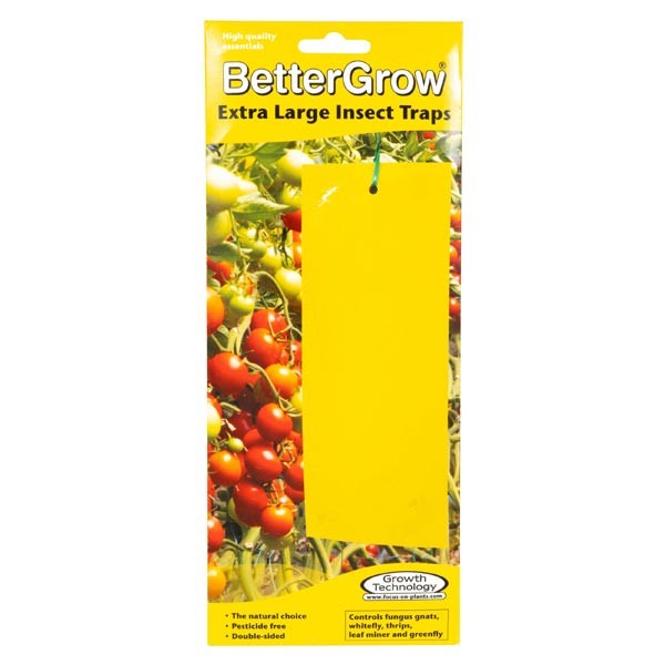 Growth Tech Insect Traps Extra Large 10 Pack