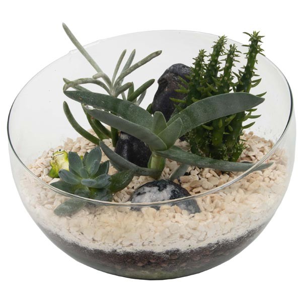 Growth Tech Spider Bowl Terrarium