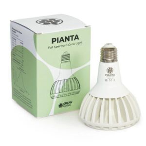 Grow Gang Pianta Grow Light LED Bulb White